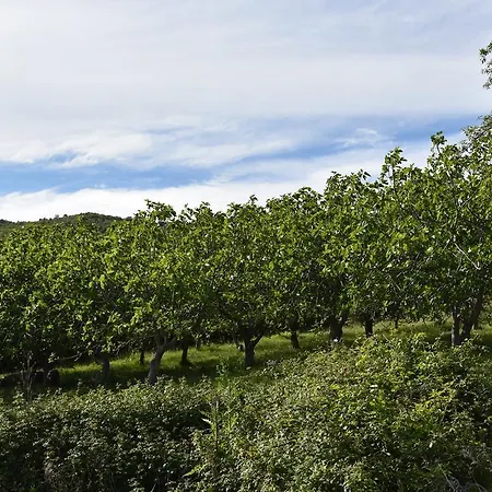 Agriturismo Santo Paolo Alto Alloggio per agriturismo *