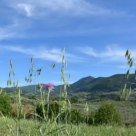 Agriturismo Santo Paolo Alto *