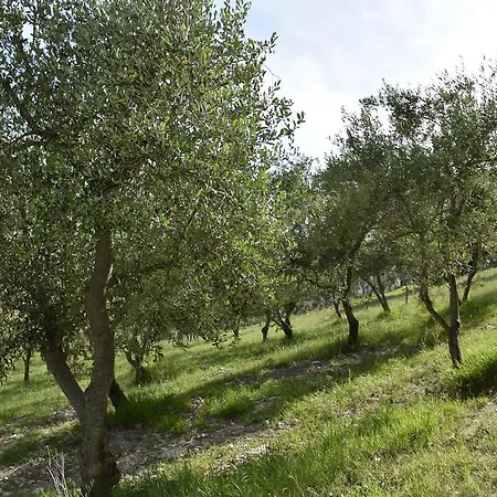 Alloggio per agriturismo Agriturismo Santo Paolo Alto