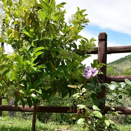 Agriturismo Santo Paolo Alto